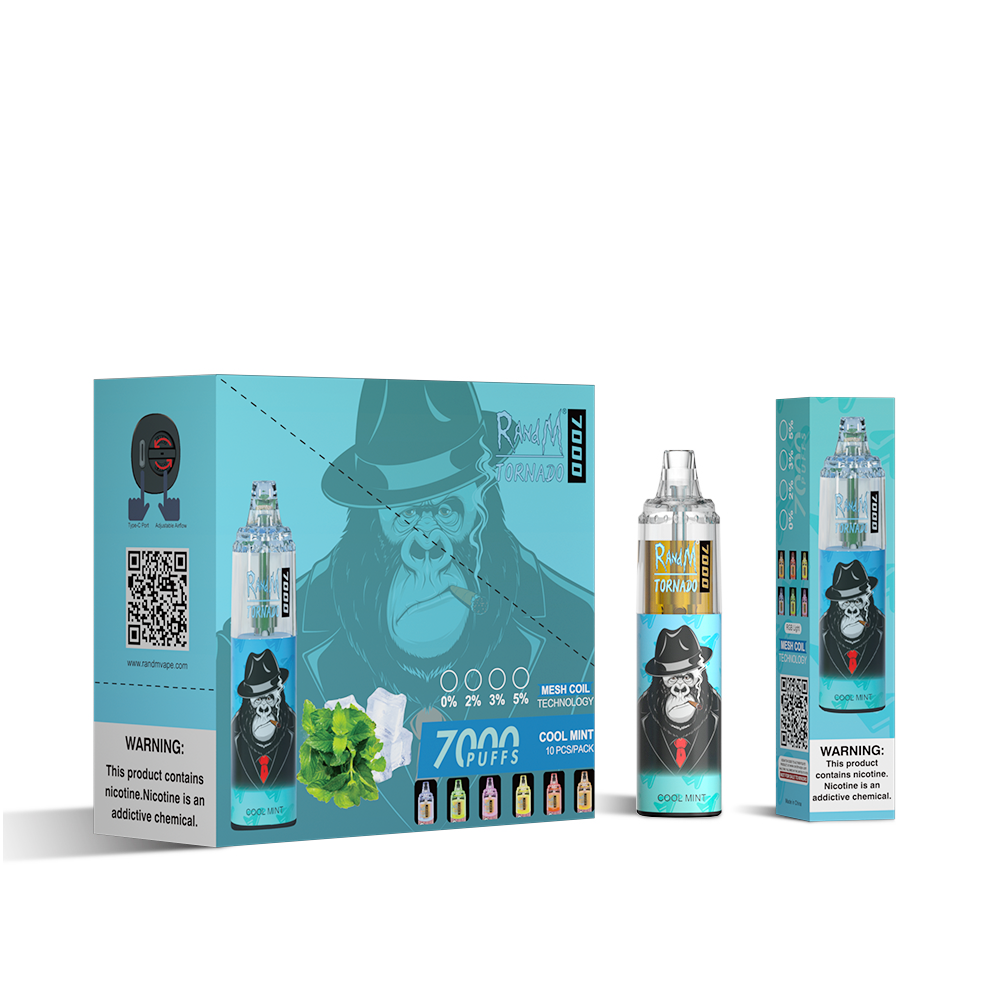 RAndM Tornado 7000 Züge Einweg Vape