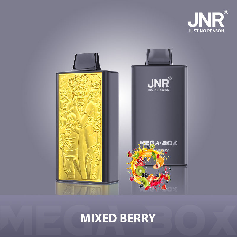 JNR Mega Box 25000 Zuge Einweg Vape