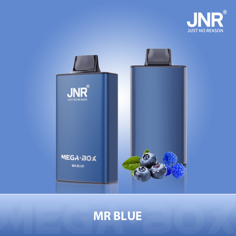 JNR Mega Box 25000 Zuge Einweg Vape