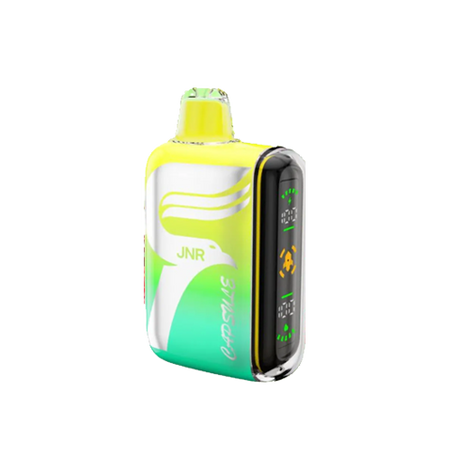 elfbar elfa master akku WASPE 15000 PUFFS Disposable Vape