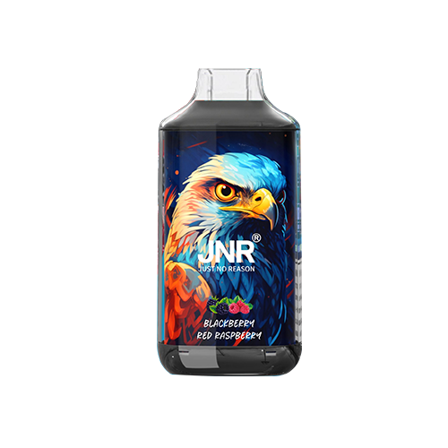 JNR Falcon 16000 Einweg Vape | 53+ Aromen | 13.79 Preis JNR Falcon 16000 Einweg Vape | 53+ Aromen | 13.79 Preis