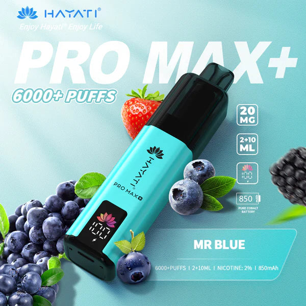 Hayat Pro Max+ 6000 Puffs Disposable Vape