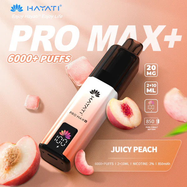 Hayat Pro Max+ 6000 Puffs Disposable Vape