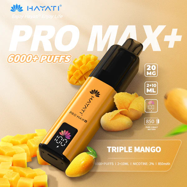 Hayat Pro Max+ 6000 Puffs Disposable Vape (Box of 10)