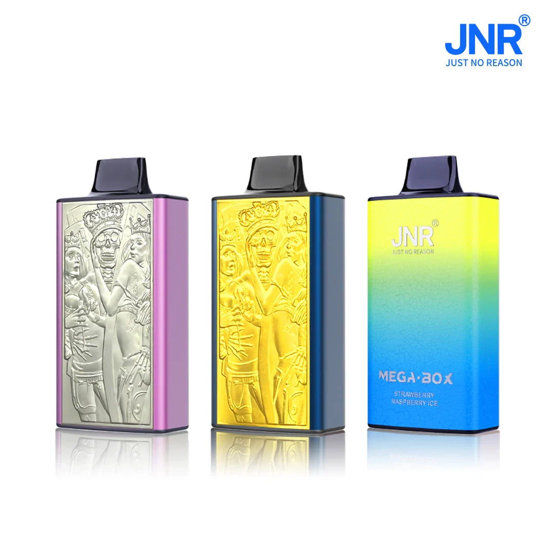 JNR Mega Box 25000 Zuge Einweg Vape